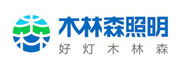 台进精密模具合作客户——不深林照明